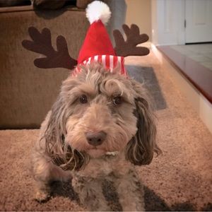 Meet your Posher, Kristie